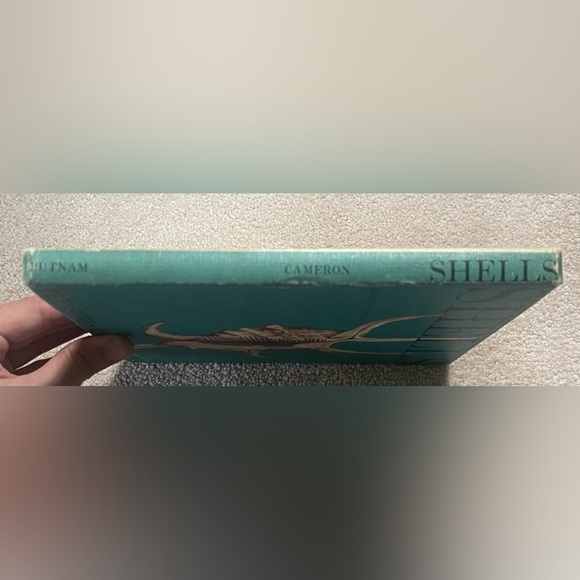 Shells Pleasures & Treasures First Edition Book with Slip Cover - Picture 5 of 13
